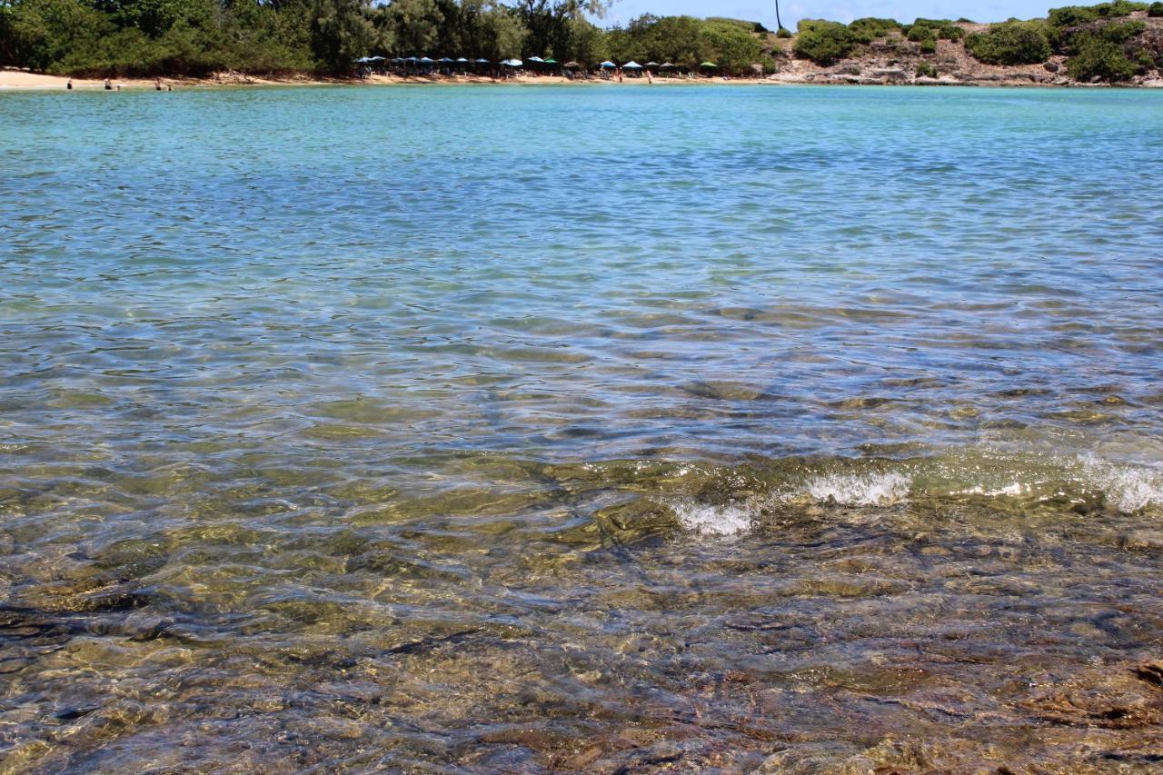Beachhouse In Barra do Sirinhaém Екстериор снимка