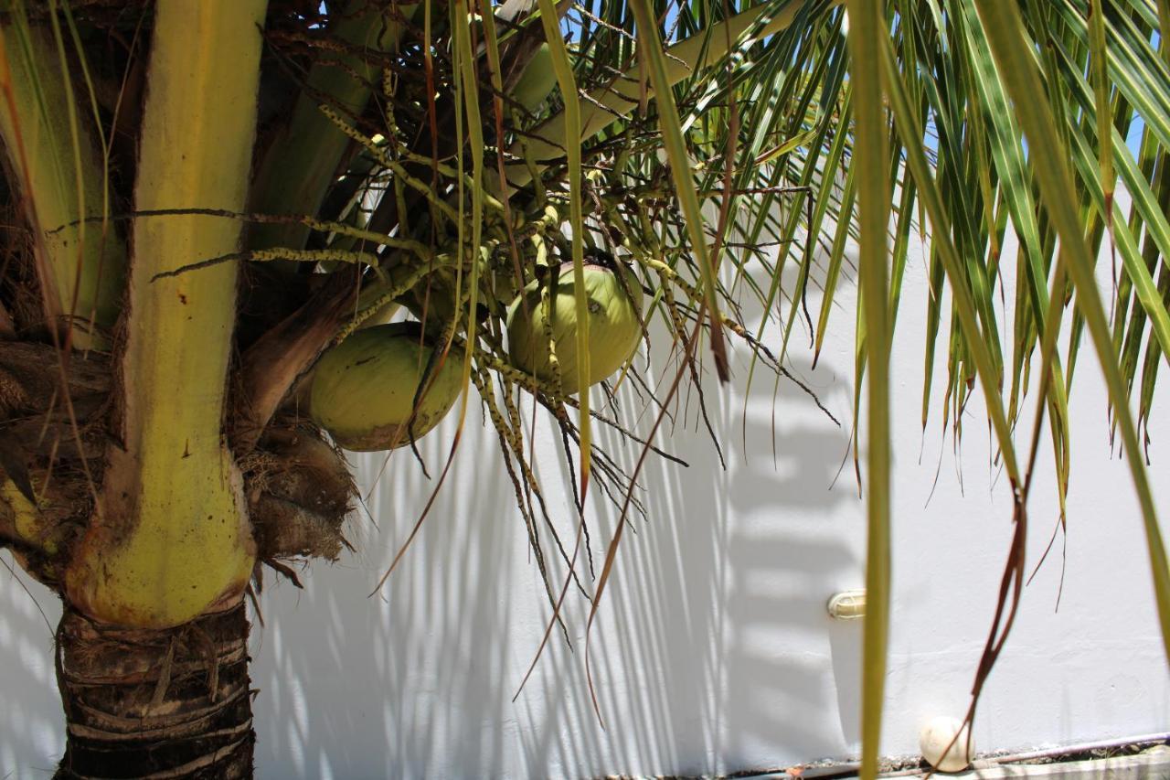 Beachhouse In Barra do Sirinhaém Екстериор снимка